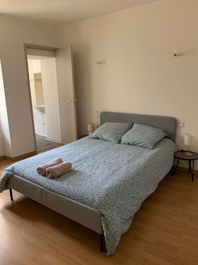 Ravissant Appartement T3 Hypercentre De Mazamet Eksteriør bilde